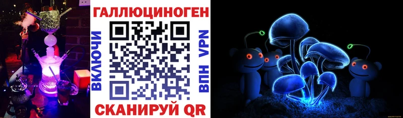 hydra как войти  Белая Калитва  это клад  Псилоцибиновые грибы прущие грибы 